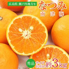 【順次ご発送中】【 南津海 なつみ 約 3kg 秀品 サイズお任せ 】 送料無料 広島県 瀬戸内地方 南津海 なつみ 約 3kg ナツミ 秀品 ご家庭用 初夏みかん オレンジ カラマンダリン 吉浦ポンカン ご自宅用 果物 くだもの フルーツ ギフト 訳あり