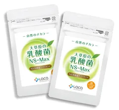 大草原の乳酸菌NS-Max（36粒）【2袋セット】