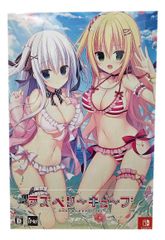 Nintendo Switch ラズベリーキューブ 初回限定特装版 - メルカリ