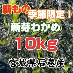 新芽わかめ　宮城県石巻産　新もの！