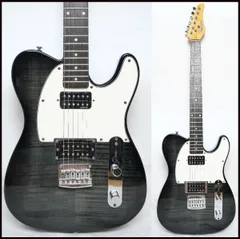 2025年最新】SCHECTER テレキャスの人気アイテム - メルカリ