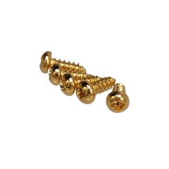 YJB PARTS ロッドカバー用スチールネジ ゴールド インチ(#2×1/4") 5pcs/set