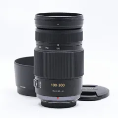 2025年最新】LUMIX G VARIO 100-300の人気アイテム - メルカリ