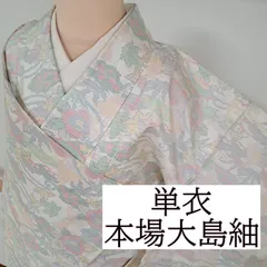 2026年最新】色味あり大島紬の人気アイテム - メルカリ