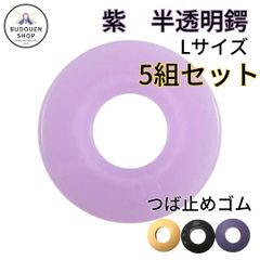 剣道 竹刀 鍔 半透明鍔 紫Lサイズ(38~39用) 5組セット 武道園