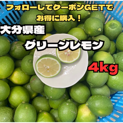 大分県佐伯市産/グリーンレモン/大鶴農園/約4kg/全国一律送料込！