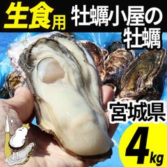 牡蠣 生食用 4kg 20～32個 殻付き 産地直送 宮城県産 三陸 カキ 牡蛎 生牡蠣 海鮮 かき kaki 貝 貝類  刺身 バーベキュー BBQ 産直 牡蠣2