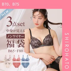 10％OFF【SHIROHATO公式】【正規品・新品】選べる4タイプ ノンワイヤー ブラジャー ショーツ 3点セット 刺繍レース＆ワントーンレース 福袋 アンダー80 下着 レディース 大きいサイズ(B70、B75)