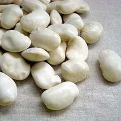 ihc⭐令和６年度　紫花豆&白いんげん豆　各約１キロ ihc⭐令和6年度 紫花豆&白いんげん豆 各約1キロ imgrc0091906569.