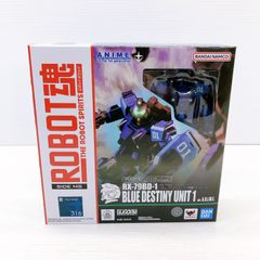 BANDAI ROBOT魂 ＜SIDE MS＞ RX-79BD-1 ブルーディスティニー1号機 ver. A.N.I.M.E.