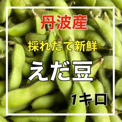 丹波産‼️大粒枝豆‼️たっぷり1キロ‼️