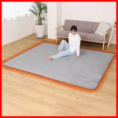 【在庫セール】ふんわり 抗菌防臭 吸湿発熱 フランネル カーペット あったか 絨毯 洗える 約3畳相当 すべり止め付き 185×240cm ライトグレー 333-09 ラグ アストロ