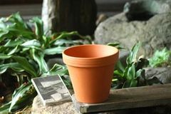 ドイツ鉢 内径22cm　在庫処分特価