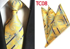 ネクタイ　ポケットチーフ チーフ　2点セット ペイズリー柄　ストライプ　結婚式 パーティー イベント 卒業式 入学式 入社式 ゴールド色 金色　イエロー色 黄色　ネイビー 紺色　ライトブルー色 水色