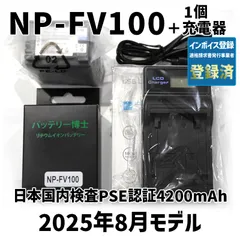 【美品】ソニー FDR-AX60 予備バッテリー付 NP-FV100A 2025年最新】fdr ax60 バッテリーの人気アイテム - メルカリ