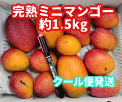 完熟ミニマンゴー　5キロ 小ぶりでも味は抜群！人気の宮崎完熟ミニマンゴー | G-Call