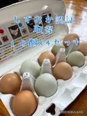 あしたか牧場の卵 オリビア - メルカリShops