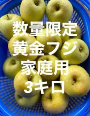 青森県産リンゴ黄金フジ 家庭用3キロ