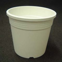 【人気商品】プラ鉢 Ａ-30 白 30個セット