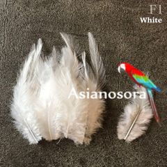 ◾️⭐︎【F1白】高品質 羽根 フェザー ハンドメイド 素材 鳥 鳥の羽根 パーツ