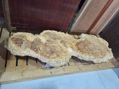 天然木　ポプラ　一枚板　未加工　木材　木工　DIY　サイドテーブル　ダイニングテーブル　直接引き取り可能　むくもりショップ