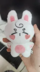BTOB チャンソプ ぬいぐるみ BTOB チャンソプ YouTube キャラクター ミニサイズぬいぐるみ