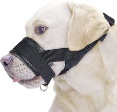 Item thumbnail for item e958f7ee-0f2b-4012-a7d3-d64b0bcee568