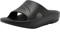 Item thumbnail for item 1c57d672-c25d-4dae-ad0f-8164394dbfbb