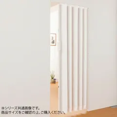 単式アコーデオンドア SJ2 幅100×高さ180 ファンデのサムネイル