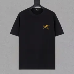 【今日特価】Arcteryx アークテリクス 25ss プレミアムプリント T シャツ