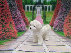 かわいい犬のおしりマグネット　マルチーズ　犬　マグネット