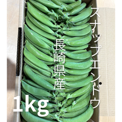 プロ農家がつくる　長崎県産スナップエンドウ　1kg
