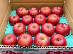 信州産「赤田の家」シナノスイート16個入り5k箱