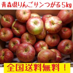 青森県産　りんご　　サンつがる 訳あり　14-25玉　5kg 送料無料