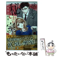 【中古】 氷のようなあなた～無償の愛を捧げます～/秋田書店/お湯かけご飯 氷のようなあなた～無償の愛を捧げます～/秋田書店/お湯かけご飯