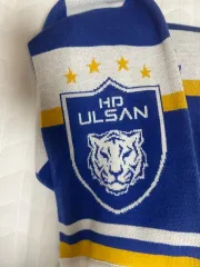 2025年最新】蔚山現代の人気アイテム - メルカリ