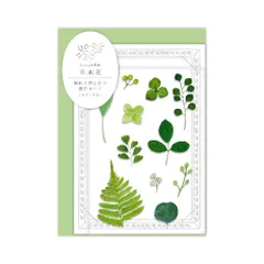 リュリュ 多目的カード 押し花の透明カード グリーン SMTC-03 スタンド付