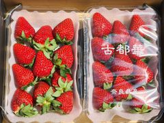 【古都華（ことか）】奈良県 2L 2パック入 父の日 ギフト 贈答 イチゴ 苺