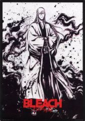 [중고] 클리어 포스터 A3 클리어 포스터 우키타케 쥬시로 [이치반 복권 BLEACH-블리치- 천년 혈전편 OP.2] D상