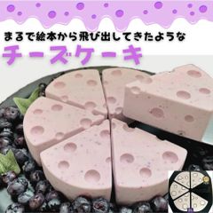北海道生乳100％の濃厚なヨーグルトを使ったレアチーズケーキ chacochee(チャコチー)ブルーベリー レアチーズ