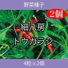 野菜種子 ECG 細八房トウガラシ 4粒 x 2個