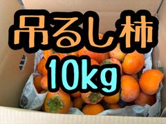 安い！この時期だけ吊るし柿10キロ　長野県産！渋柿　T枝あり