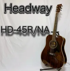 Headway エレアコ　レアカラー　オールホワイト　美品　純正ソフトケース Headway エレアコ レアカラー オールホワイト 美品 純正ソフト