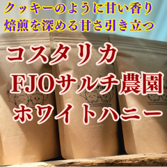 コスタリカ FJOサルチ農園 ホワイトハニー 100g×1袋 新鮮厳選 炭火自家焙煎コーヒー豆 可愛い 猫柄 ねこのめ珈琲 ハンドピック済 お土産用にもどうぞ