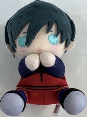 タグ無し　ブルーロック esシリーズnino ぴたぬい ぬいぐるみマスコット 糸師凛