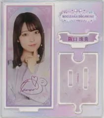 2025年最新】パネル サイン 乃木坂46の人気アイテム - メルカリ