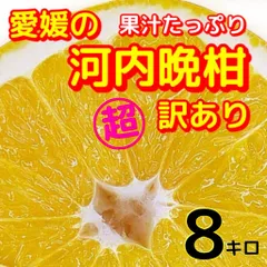 2026年最新愛媛みかんの人気アイテム - メルカリ