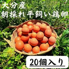 20個入　宮下養鶏の朝採れ平飼い卵　大分県産