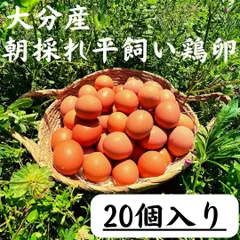 20個入　宮下養鶏の朝採れ平飼い卵　大分県産のサムネイル