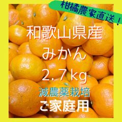 【ご家庭用】和歌山県産みかん 2.7kg ・甘い！美味しい！